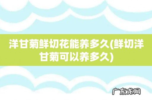 鲜切洋甘菊可以养多久 洋甘菊鲜切花能养多久