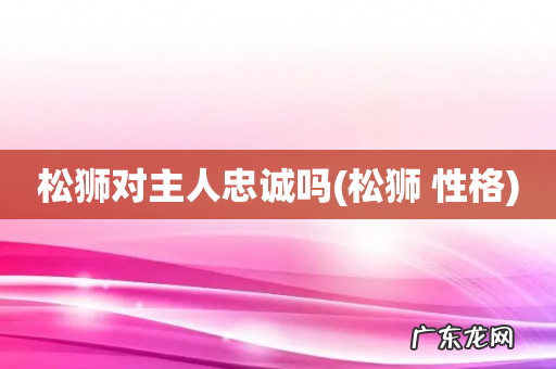 松狮 性格 松狮对主人忠诚吗