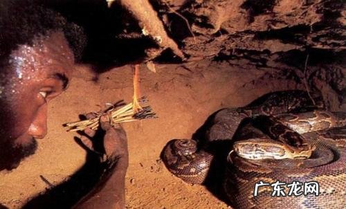 喀麦隆怎么样 喀麦隆风土人情