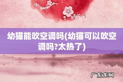 幼猫可以吹空调吗?太热了 幼猫能吹空调吗