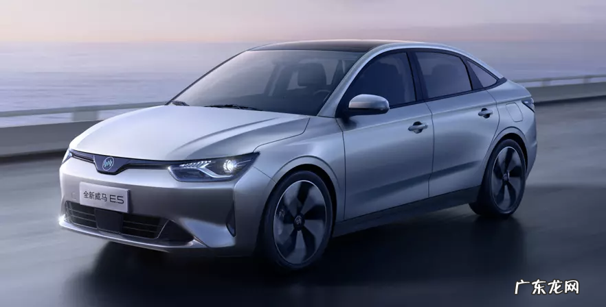 威马元老杜立刚离职：参与公司创立，沈晖绝佳搭档，陪跑7年分手