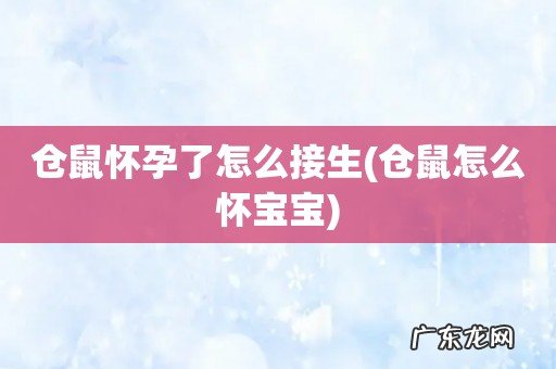 仓鼠怎么怀宝宝 仓鼠怀孕了怎么接生