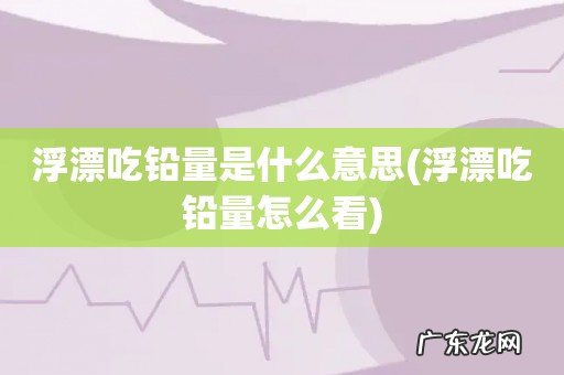 浮漂吃铅量怎么看 浮漂吃铅量是什么意思