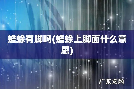 蟾蜍上脚面什么意思 蟾蜍有脚吗