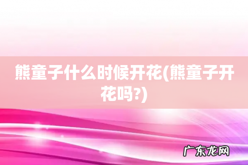 熊童子开花吗? 熊童子什么时候开花