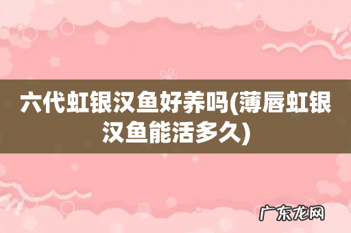 薄唇虹银汉鱼能活多久 六代虹银汉鱼好养吗