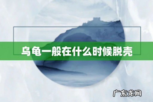 乌龟一般在什么时候脱壳