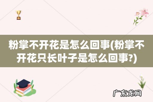 粉掌不开花只长叶子是怎么回事? 粉掌不开花是怎么回事