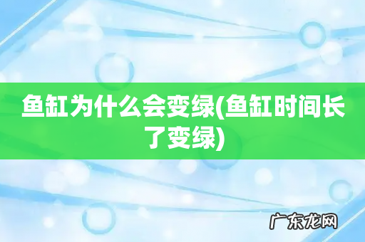 鱼缸时间长了变绿 鱼缸为什么会变绿