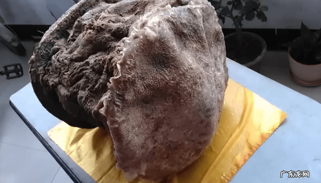 太岁市场价 太岁的价格是多少