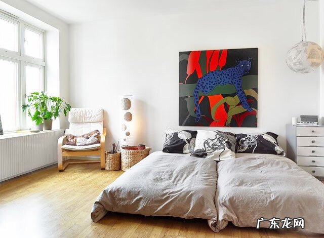 琴叶榕的风水寓意和禁忌 进门看到琴叶榕好吗