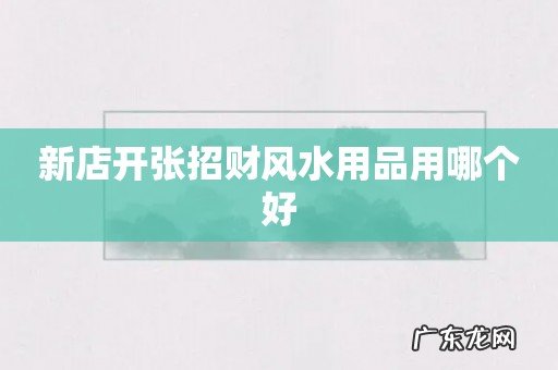 新店开张招财风水用品用哪个好