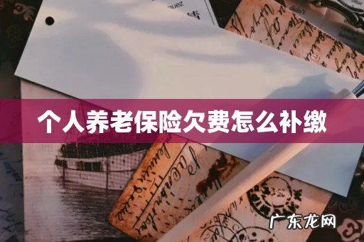 个人养老保险欠费怎么补缴