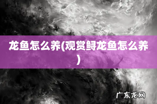 观赏鲟龙鱼怎么养 龙鱼怎么养