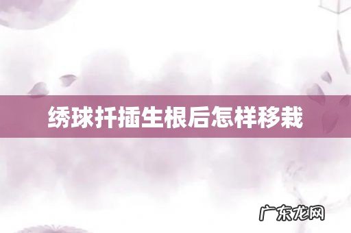 绣球扦插生根后怎样移栽