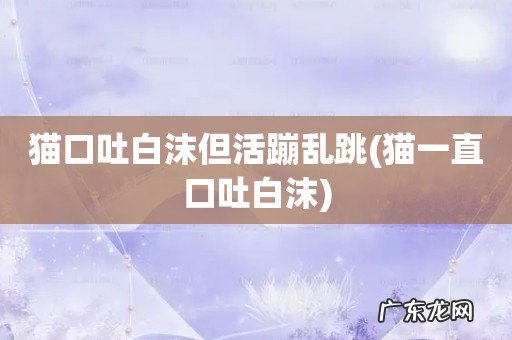 猫一直口吐白沫 猫口吐白沫但活蹦乱跳
