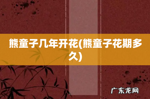 熊童子花期多久 熊童子几年开花