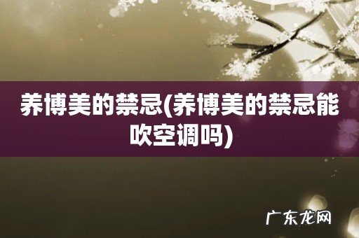 养博美的禁忌能吹空调吗 养博美的禁忌