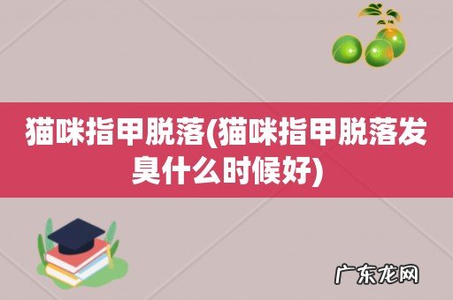 猫咪指甲脱落发臭什么时候好 猫咪指甲脱落