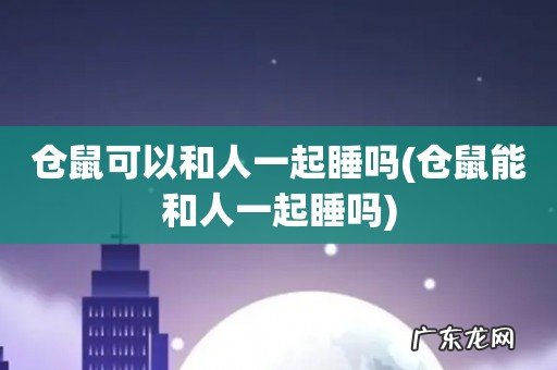 仓鼠能和人一起睡吗 仓鼠可以和人一起睡吗