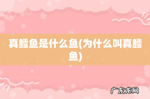 为什么叫真鳕鱼 真鳕鱼是什么鱼
