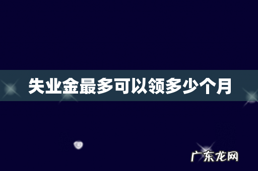 失业金最多可以领多少个月