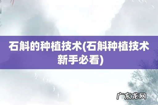 石斛种植技术 新手必看 石斛的种植技术