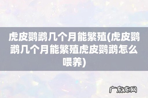 虎皮鹦鹉几个月能繁殖虎皮鹦鹉怎么喂养 虎皮鹦鹉几个月能繁殖