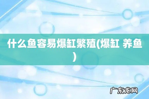 爆缸 养鱼 什么鱼容易爆缸繁殖