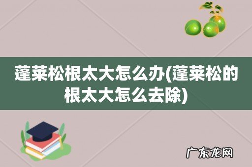 蓬莱松的根太大怎么去除 蓬莱松根太大怎么办