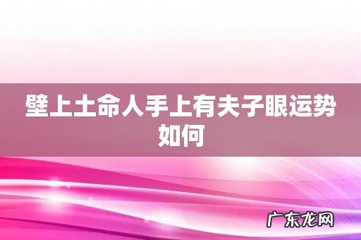 壁上土命人手上有夫子眼运势如何