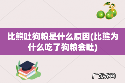 比熊为什么吃了狗粮会吐 比熊吐狗粮是什么原因