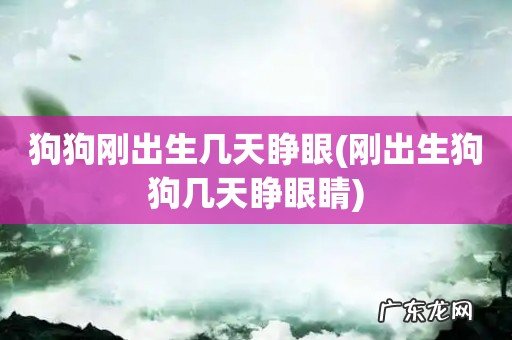 刚出生狗狗几天睁眼睛 狗狗刚出生几天睁眼