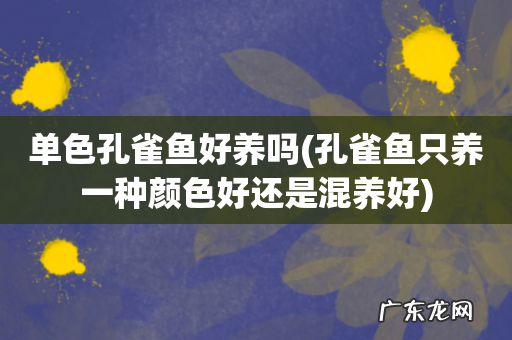 孔雀鱼只养一种颜色好还是混养好 单色孔雀鱼好养吗