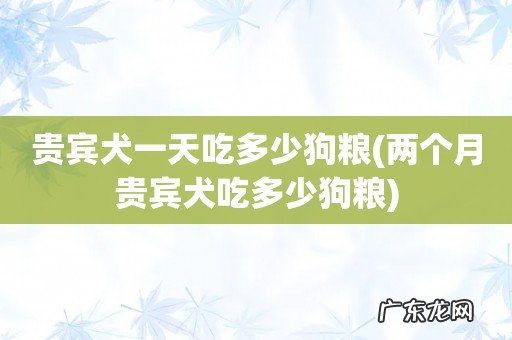 两个月贵宾犬吃多少狗粮 贵宾犬一天吃多少狗粮