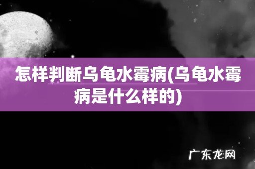 乌龟水霉病是什么样的 怎样判断乌龟水霉病