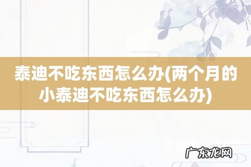 两个月的小泰迪不吃东西怎么办 泰迪不吃东西怎么办