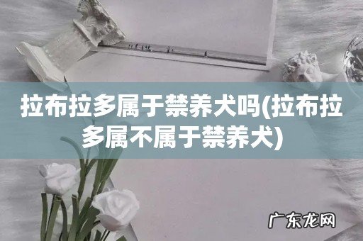 拉布拉多属不属于禁养犬 拉布拉多属于禁养犬吗