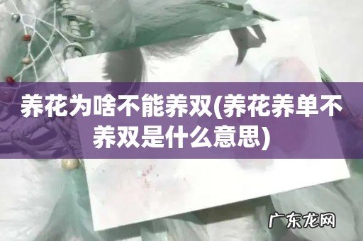 养花养单不养双是什么意思 养花为啥不能养双