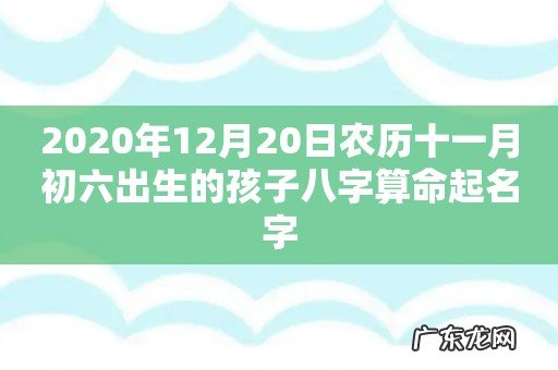 2020年12月20日农历十一月初六出生的孩子八字算命起名字