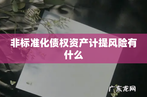 非标准化债权资产计提风险有什么