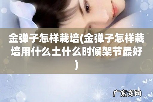 金弹子怎样栽培用什么土什么时候架节最好 金弹子怎样栽培