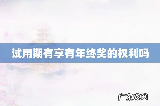 试用期有享有年终奖的权利吗