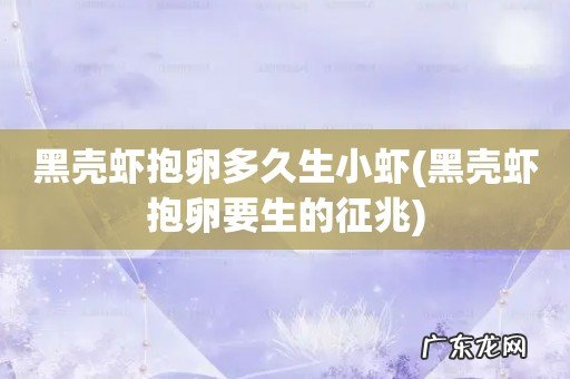 黑壳虾抱卵要生的征兆 黑壳虾抱卵多久生小虾