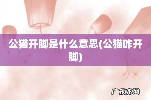 公猫咋开脚 公猫开脚是什么意思