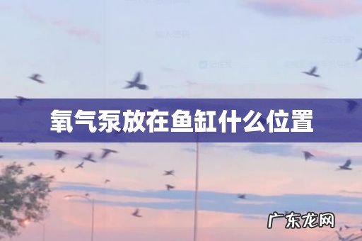 氧气泵放在鱼缸什么位置