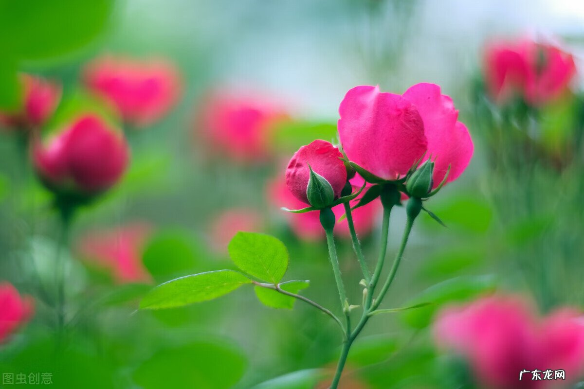 了解风水 看风水怎么看风水