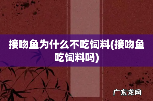 接吻鱼吃饲料吗 接吻鱼为什么不吃饲料