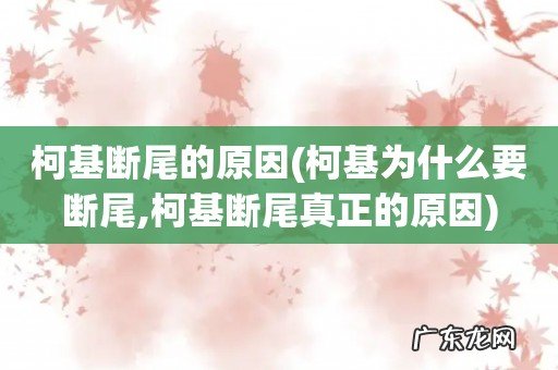 柯基为什么要断尾,柯基断尾真正的原因 柯基断尾的原因