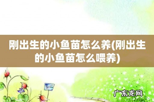 刚出生的小鱼苗怎么喂养 刚出生的小鱼苗怎么养